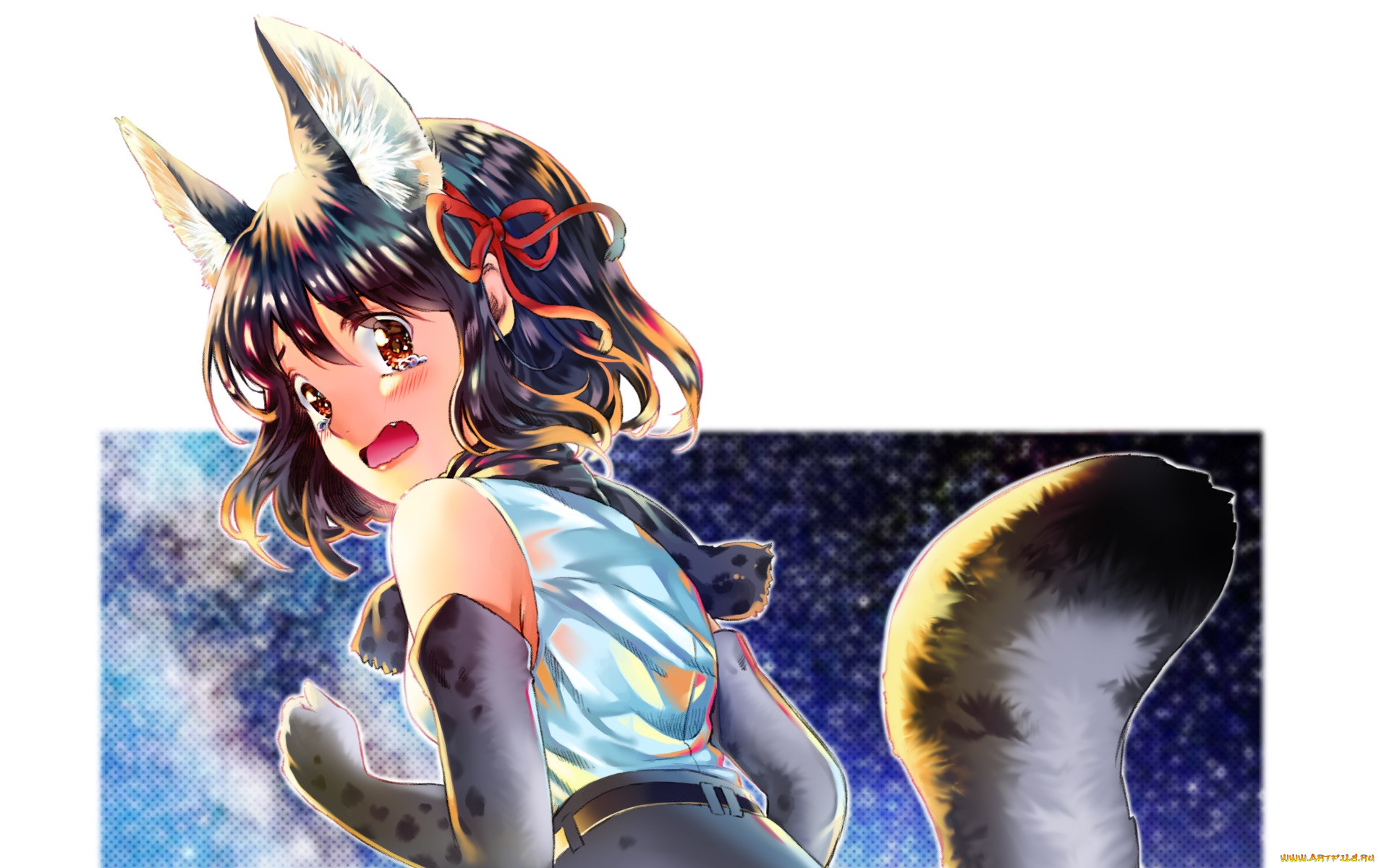 , kemono friends, , , 